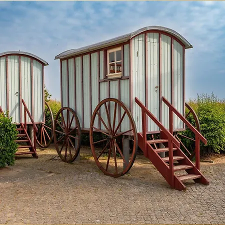 Bansin Seepferdchen 9