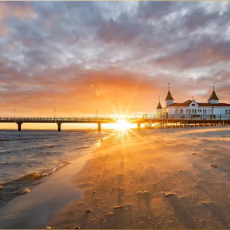 Bansin Seepferdchen 9 * Heringsdorf (Usedom)