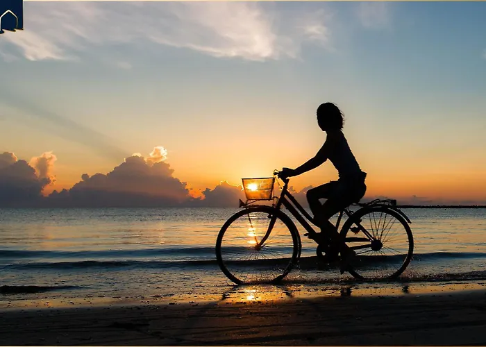 Bansin Seepferdchen 9 度假居